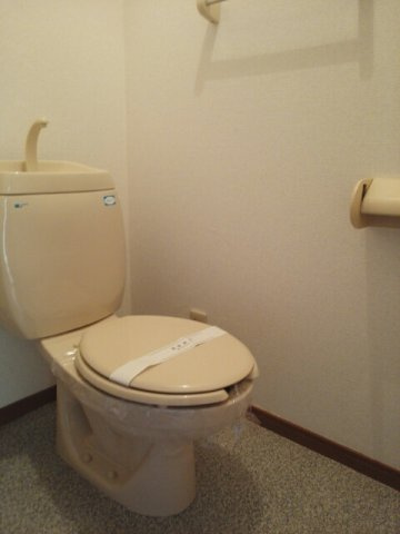 ドルチェビータＡのトイレ|トイレも気になるポイント