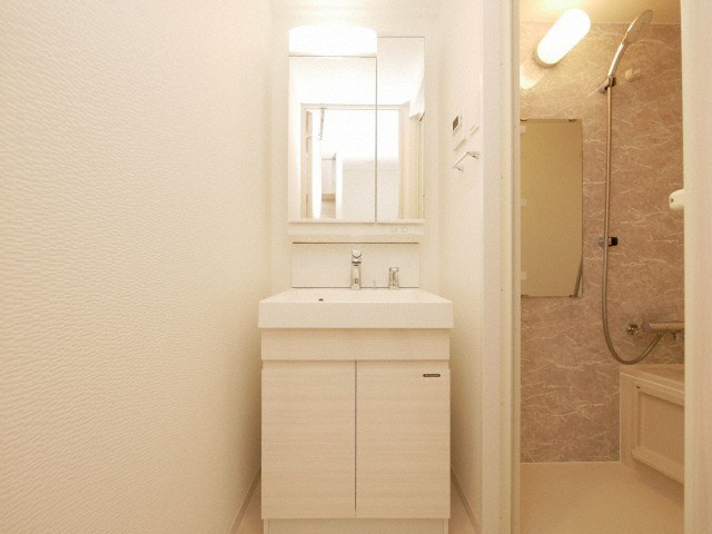 S-RESIDENCE福島Alovitaの洗面所