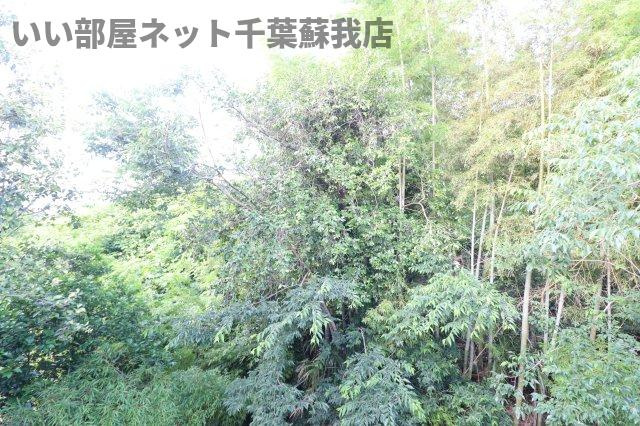 MyHomeRELAXAの展望|明日を自由に『Asfree』いい部屋ネット千葉蘇我店です！