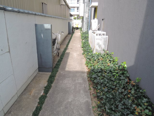 新川ビルのバルコニー