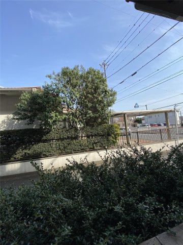 フローラ湖東の展望