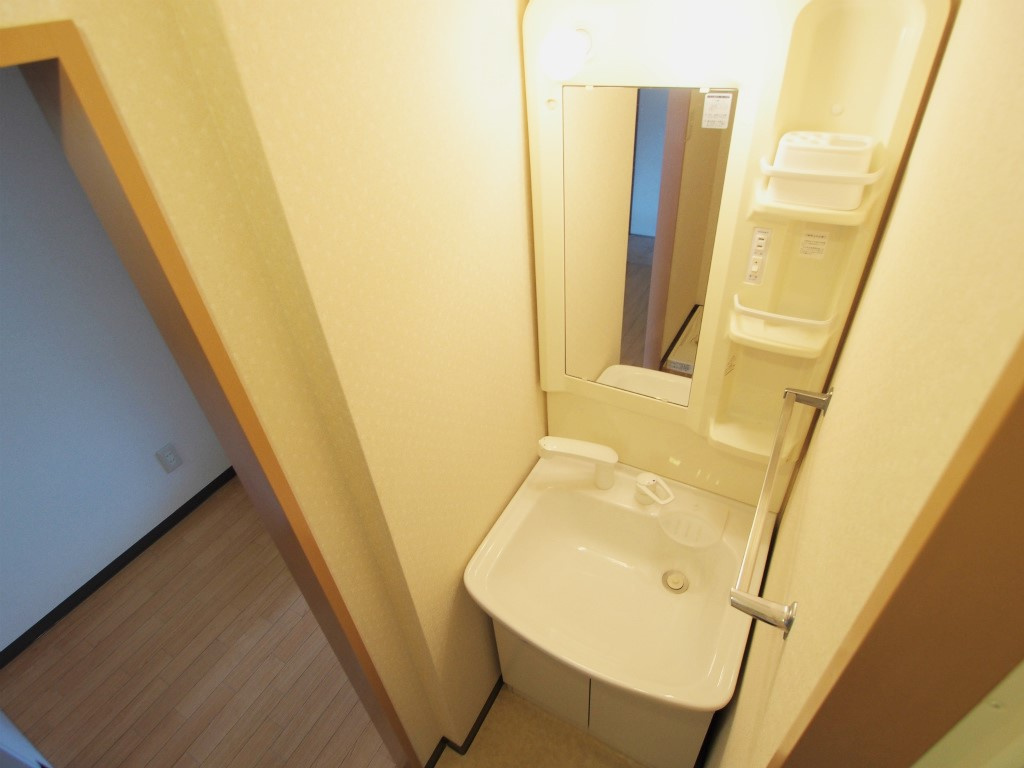 トレゾール東原の洗面所