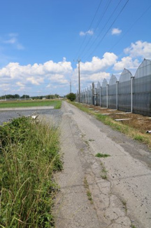 【前面道路含む現地写真】 | 真岡市飯貝5LDK中古住宅