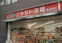 ミヤモト薬局新成増店まで785m