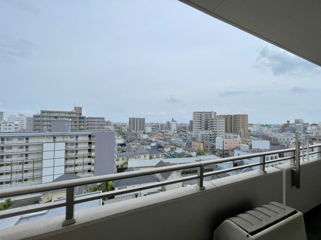 ダイアパレス公園橋通りの展望