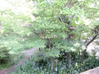 【展望】 | ルミネⅡ