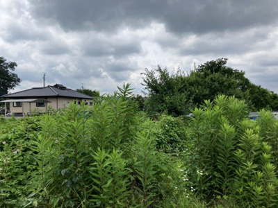 【周辺】 | 笠間市下市毛150坪売地