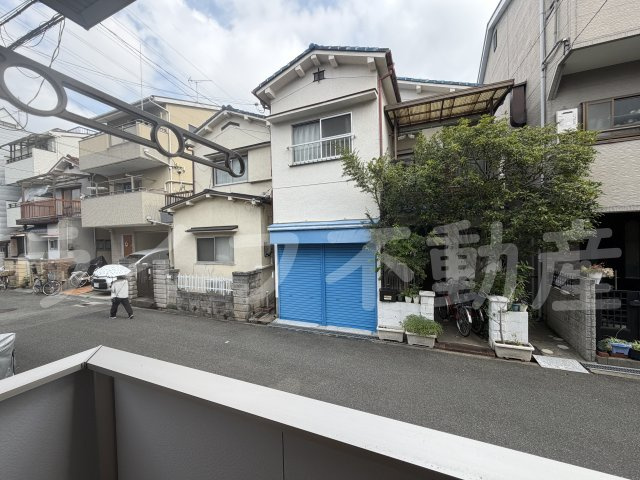 アルベロの展望