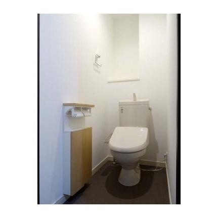 熊本市中央区坪井１丁目の賃貸マンションのトイレ