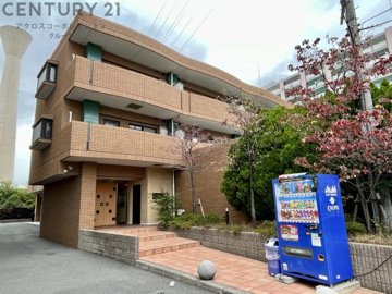 オートロック付きで外部からの出入りがなく安心です
