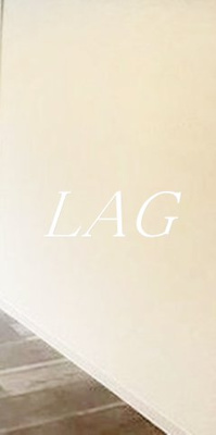 【居間・リビング】 | ＬＯＴＵＳ　ＴＯＧＯＳＨＩＧＩＮＺＡ | 洋室のお部屋です。