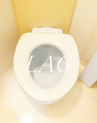 【トイレ】 | セシオン西新宿 | トイレです。
