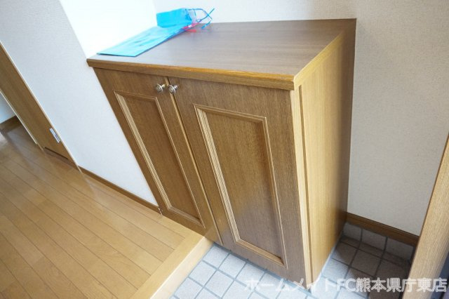 熊本市東区長嶺東３丁目の賃貸マンションの玄関