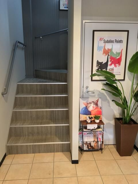 Ｇａｔｏｓ　ｃａｓａ　’Ｓのその他共用部分