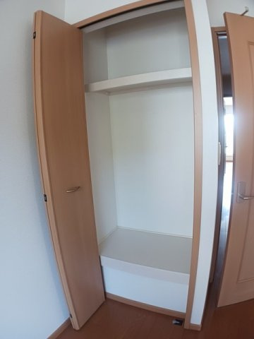 プラシードのその他