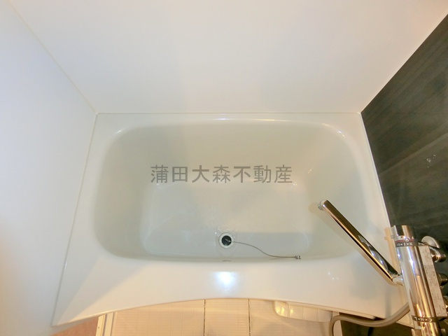 ガリシア蒲田サウスSouthの浴室
