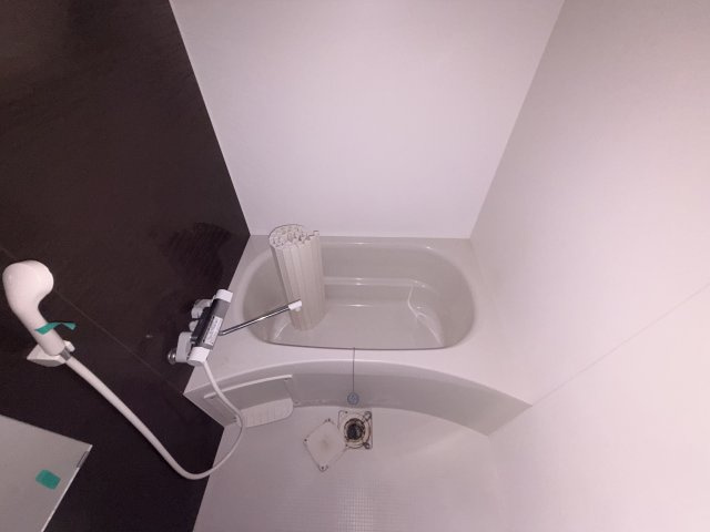 ポラリス摂津L棟の浴室