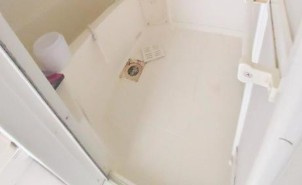 レオネクスト壽光Ⅲの浴室