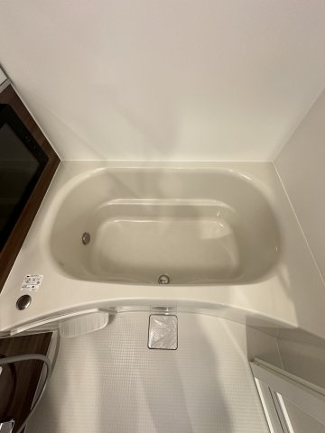 プレジオ阿波座の浴室