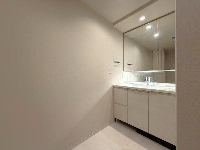 ブランズタワー梅田Ｎｏｒｔｈの独立洗面台