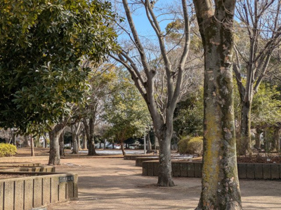 千葉市 幕張台公園まで240ｍ