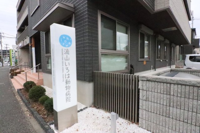 流山いろは動物病院まで600ｍ