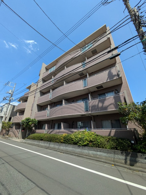 2026年4月11日撮影