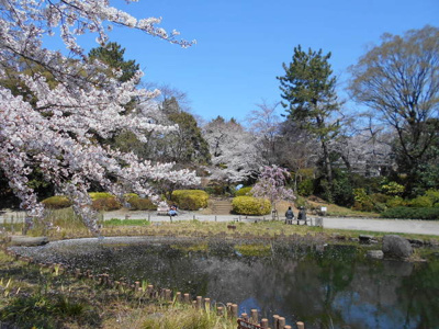 哲学堂公園まで350ｍ