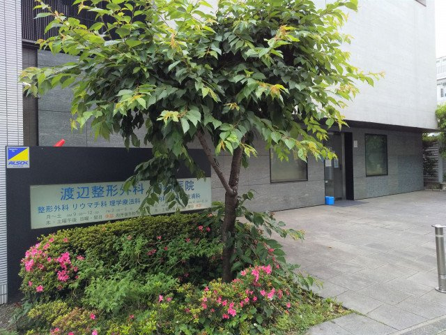 渡辺整形外科内科医院まで350ｍ