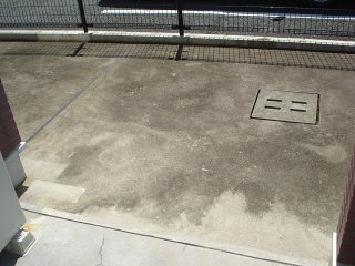 アンビシャス桜のその他|専用庭