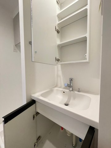 DIPS野方RESIDENCEの独立洗面台|使いやすい独立洗面台です