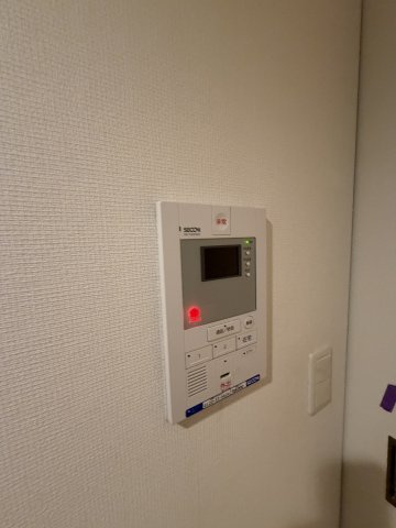 リブリ・スカイブルームーンのセキュリティ