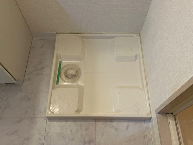 コンフォート宮下の洗面所