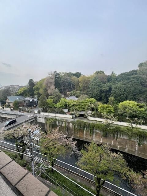 コンシェリア早稲田グリーンフォレストの展望