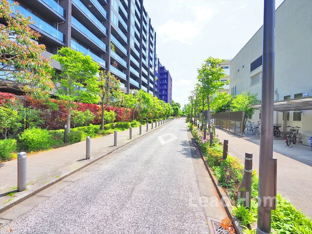 【その他】 | グランドヒルズ三軒茶屋ヒルトップガーデンＣ棟 | 前面道路