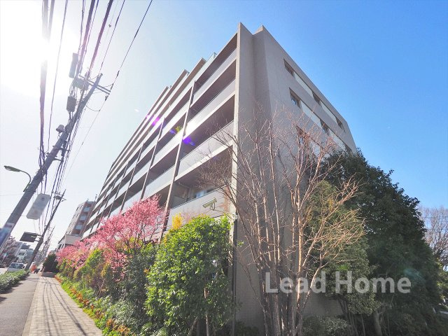 【その他】 | パークホームズ用賀一丁目 | 前面道路