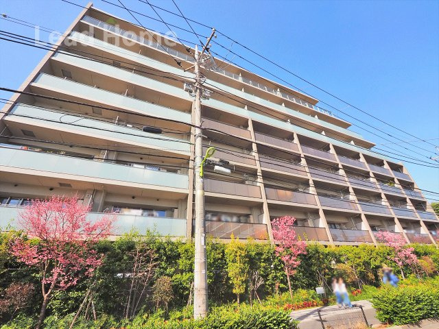 【その他】 | パークホームズ用賀一丁目 | 前面道路