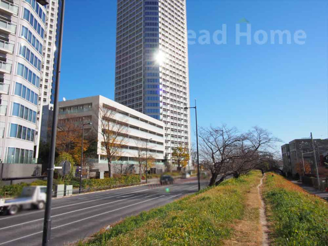 【その他】 | 二子玉川ライズタワー＆レジデンスタワーイースト | 前面道路