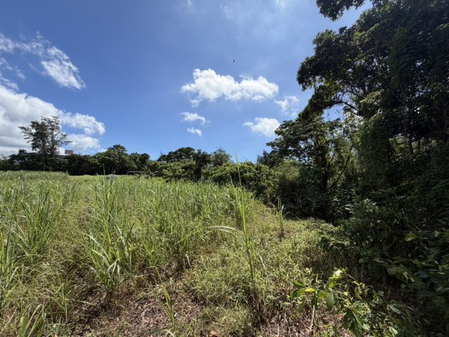 【事業用地】宜野座村惣慶土地の外観