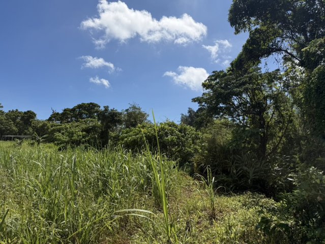 【事業用地】宜野座村惣慶土地の外観