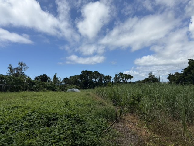 【事業用地】宜野座村惣慶土地の外観