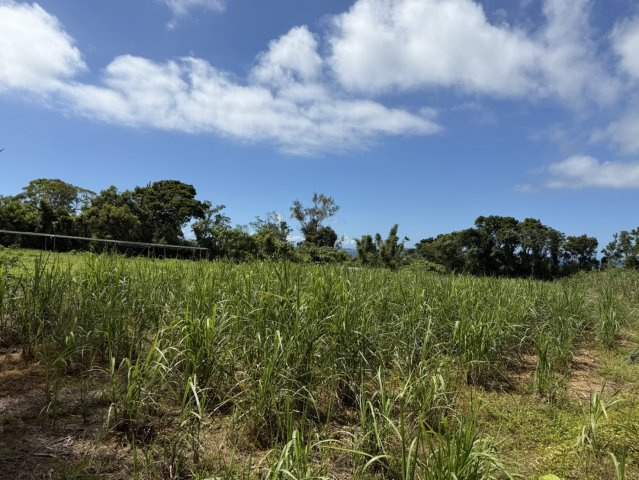 【事業用地】宜野座村惣慶土地の外観