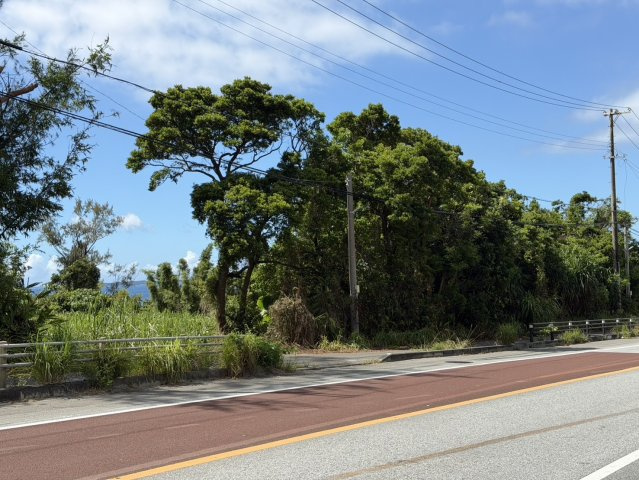 【事業用地】宜野座村惣慶土地の外観