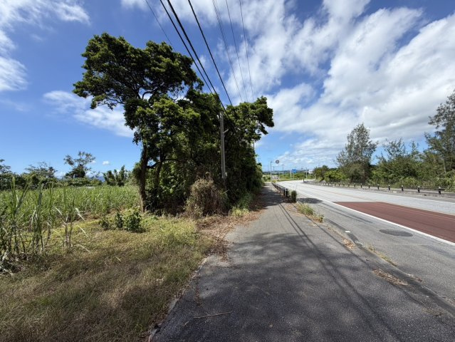【事業用地】宜野座村惣慶土地の外観
