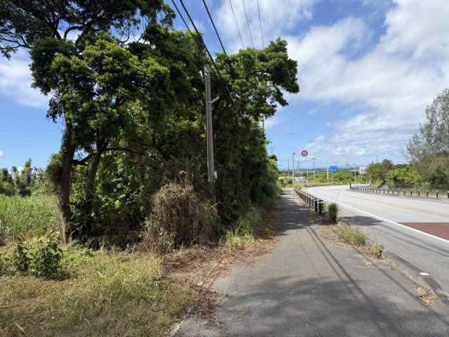 【事業用地】宜野座村惣慶土地の外観