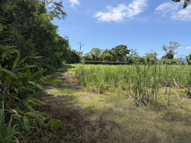 【事業用地】宜野座村惣慶土地の外観