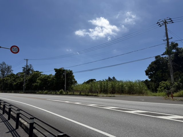 【事業用地】宜野座村惣慶土地の周辺