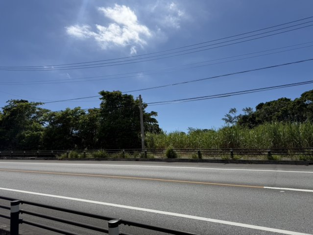 【事業用地】宜野座村惣慶土地のその他