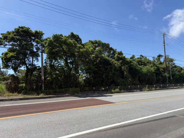 【事業用地】宜野座村惣慶土地の周辺