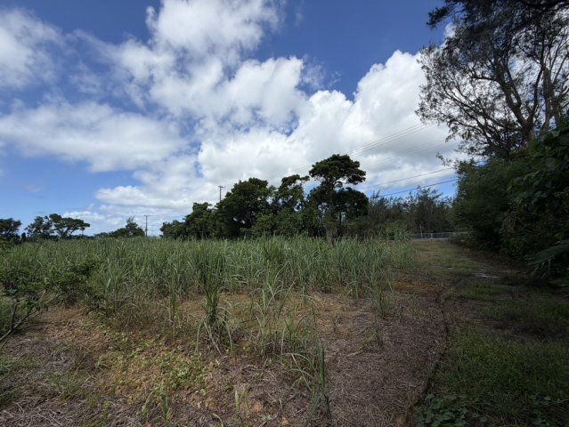 【事業用地】宜野座村惣慶土地の外観